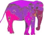 rosa Elefant