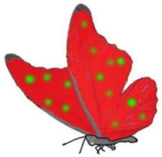 roter Schmetterling